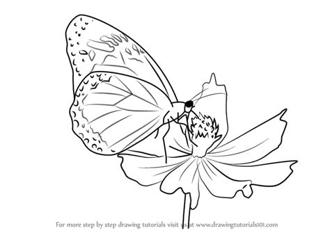 How to Draw a Butterfly on Flower (Butterflies) Step by Step | DrawingTutorials101.com