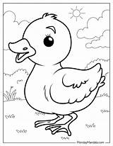 28 Cute Duck Coloring Pages Free PDF Printables sketch template