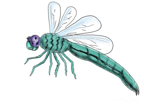 Dragonfly Flying Color Drawing Digital Art by Aloysius Patrimonio - Pixels