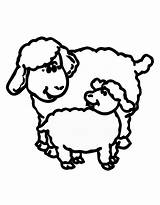 Sheep Coloring Pages sketch template