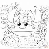 Crab coloring Page  Free Printable Coloring Pages sketch template