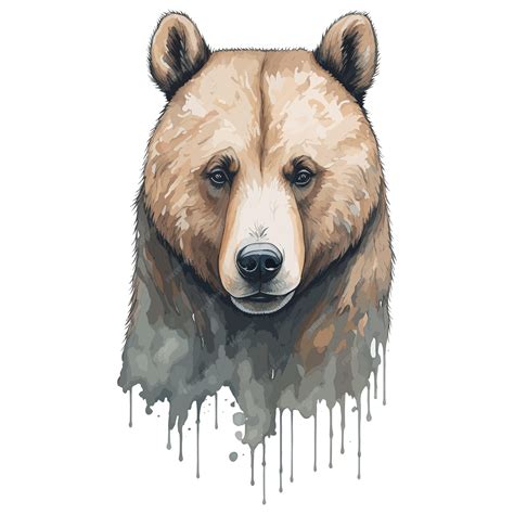 Premium Vector | A bear with a black nose and a black nose is shown on a white background.