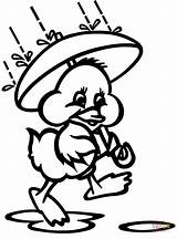 A Duck Is Walking In The Fall Rain With Umbrella coloring Page  Free sketch template