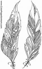 Free Printable Feather Coloring Pages sketch template