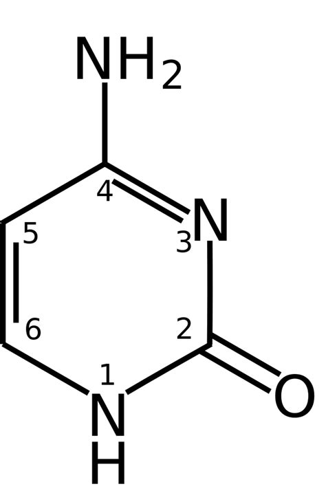 File:Cytosine chemical structure.svg - Wikipedia