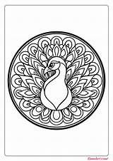 🦚 Free Printable Peacock Mandala Coloring Pages  Kumalart sketch template