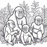 Gorilla Coloring Pages 22  Coloring Gem sketch template