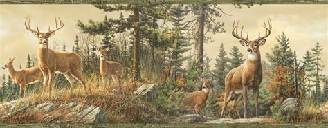 Image result for BEST BUCK PICTURES FOR COVER PHOTOS FACEBOOK | Hunting wallpaper, Deer ...