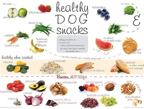 Road's End Papillons : Healthy Dog Snacks