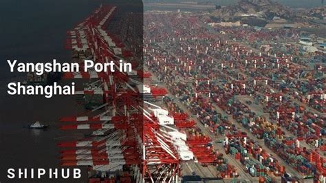 Yangshan Port in Shanghai - Transport - China - ShipHub