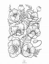 47 best Flower coloring Sheets For Free – Artofit sketch template