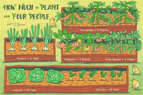 It's time to plan the vegetable garden, but how much should you plant per person to feed your ...