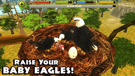 Eagle Simulator | Gluten Free Games