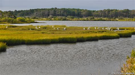 Assateague Island National Seashore | MARYLAND DISTRICT