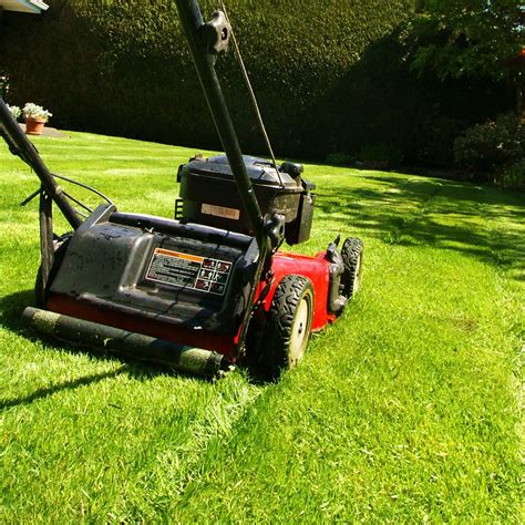 Grass Cutting Tips: A Few Mowing Basics for Beginners