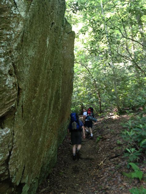 Swift Camp Creek Trail – a joyful procession