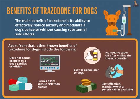 Trazodone For Dogs: Uses, Benefits, And Precautions For Dog Behavior ...