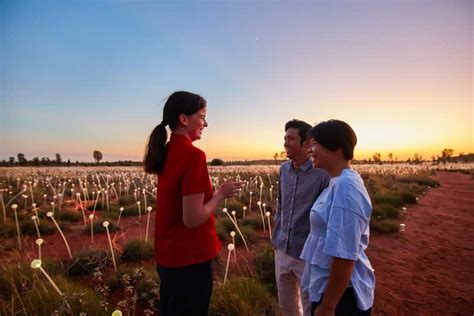 Uluru: Field of Light Sunrise Tour with Hot Drinks | GetYourGuide