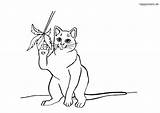 Katze Malvorlage Kostenlos » Katzen Ausmalbilder  Happycolorzde sketch template