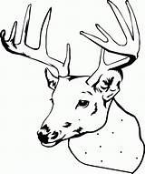 Free Printable Elk Coloring Pages  Home sketch template