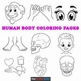 Coloring Pages A Fun Way To Learn About Human Body Parts sketch template