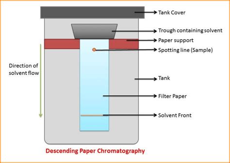 What is Paper Chromatography? Principle and Procedure