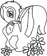 Bambi S Flower The Skunk Side Coloring Pages  Wecoloringpagecom sketch template