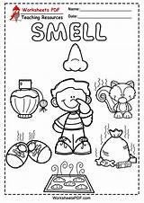 Coloring Pages For Five Senses A Fun And Engaging Way To Learn sketch template