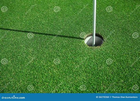 Hole in one stock photo. Image of tournament, green, focus - 36270268