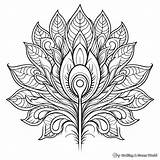Peacock Feather Coloring Pages  Free & Printable sketch template