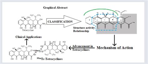 Tetracycline: Classification, Structure Activity Relationship and Mechanism of Action as a ...