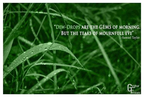 Morning Dew Quotes. QuotesGram