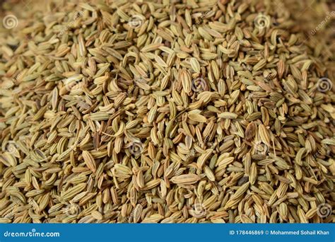 Dried Fennel Seeds As an Abstract Background Texture Stock Image ...