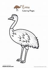 Emu Coloring Pages For Kids – Free Printables  Art & Craft sketch template
