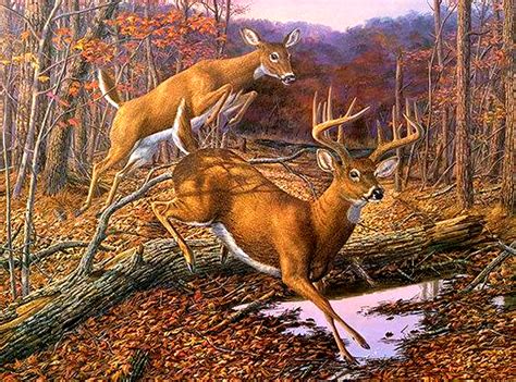 Pin by Jody Tilton Cooper on yes in 2020 | Hunting art, Deer painting, Deer art