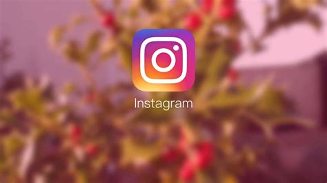 Top 999+ Instagram Wallpaper Full HD, 4K Free to Use