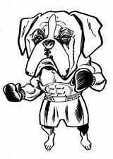 Boxer Dog Coloring Pages At GetDrawings  Free Download sketch template