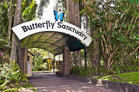 Australian Butterfly Sanctuary Kuranda | Attraction | JumpOn