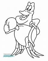 Flounder Coloring Pages At GetColoringscom  Free Printable Colorings sketch template