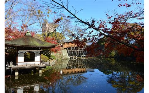 Wakayama Castle Info | Wakayama, Japan