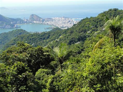 The 10 Best Tijuca National Park (Parque Nacional da Tijuca) Tours & Tickets 2021 - Rio de ...