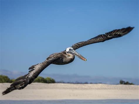 Galapagos Islands small ship cruise holiday | Responsible Travel