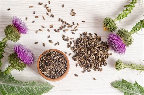 Milk Thistle For Liver: 5 Milk Thistle Benefits | Perfect Origins