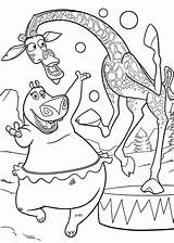 Madagascar Melman Coloring Pages sketch template