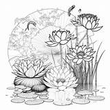 Water Lily Art Coloring Pages For Adults  Instant Download Etsy sketch template
