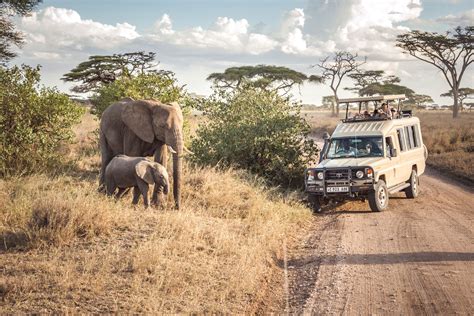 Serengeti National Park Safari | Tanzania Wildlife Safari in Serengeti