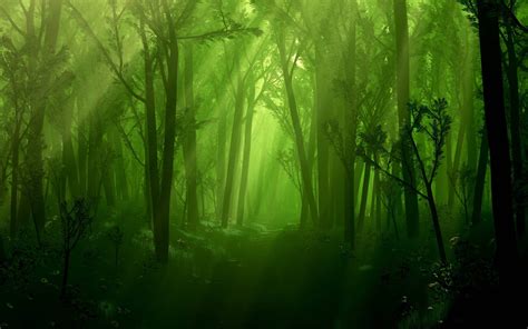 Beautiful Creatures Dark Magical Forest