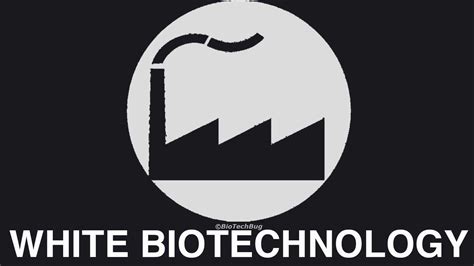 Colourful Types of Biotechnology