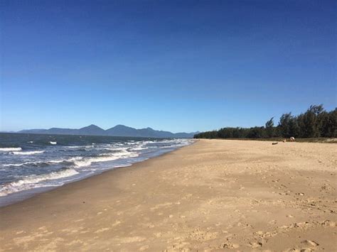 Yorkeys Knob Beach: Top Tips Before You Go (with Photos) UPDATED 2018