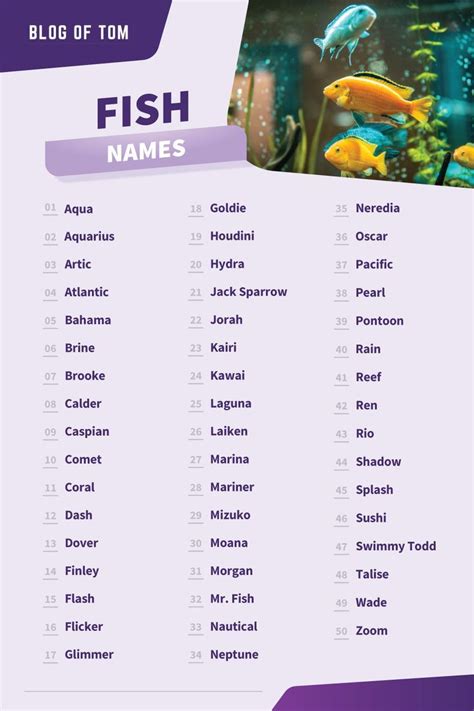 Fish Names (Cute, Cool & Funny Ideas) in 2022 | Beta fish names, Names, Cool names